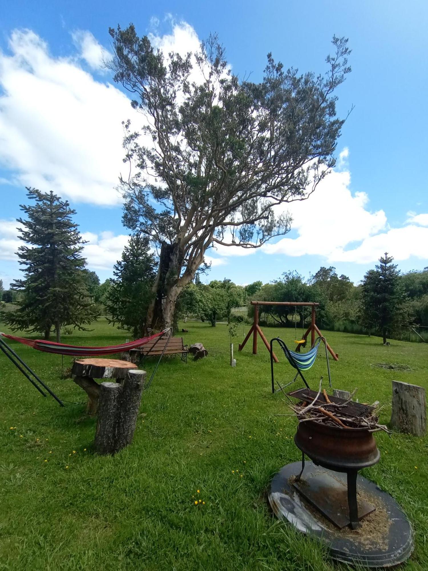 Vila Cabanas Aliwen Ñilque Exteriér fotografie