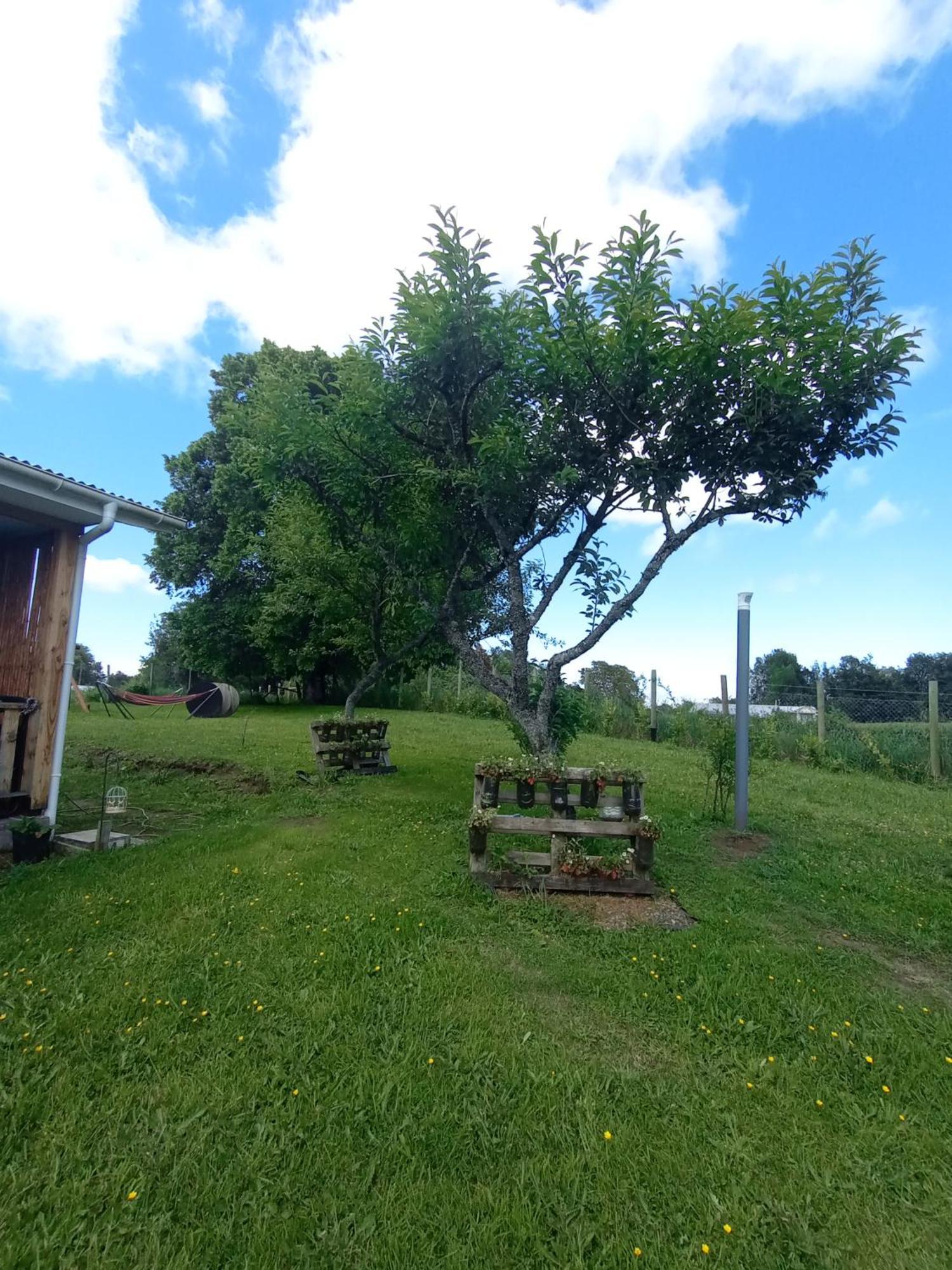 Vila Cabanas Aliwen Ñilque Exteriér fotografie